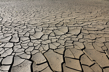 A riverbed dried up and cracked soil due to the lack of water and precipitation but also very high temperatures. Dried up river.