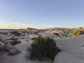 view of the desert