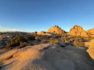 landscape in the desert