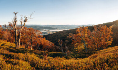 Fototapeta premium Majestic view of Carpathian mountains, autumn season