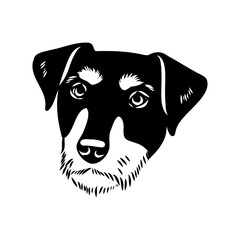 German Jagdterrier dog, vector sketch . Hand drawn ink realistic sketching isolated on white.
