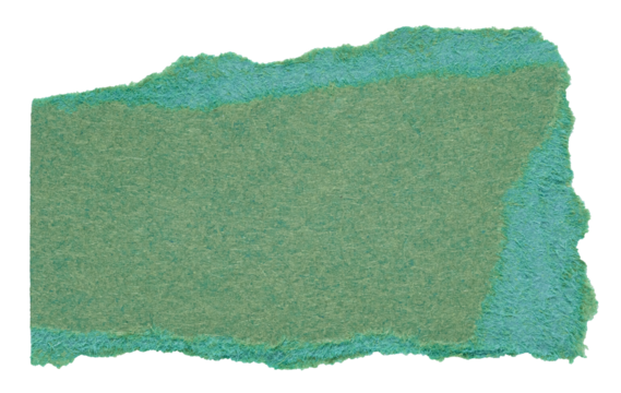 Isolated cut out torn piece of blank dark green paper note cardboard with texture and copy space for text, transparent png background design element