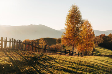 Naklejka premium Day sunlight. Majestic view of Carpathian mountains, autumn season