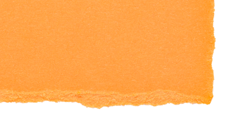Isolated cut out torn piece of blank orange paper note cardboard with texture and copy space for text, transparent png background design element