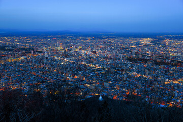 藻岩山展望台から見る札幌