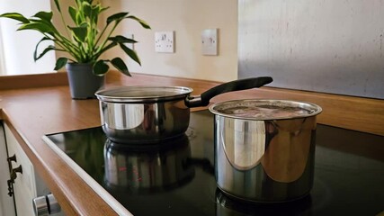 Cooking Delicious Meal on Modern Energy-Efficient Electric Stove in Cozy Kitchen With Plants Nearby. Making nutritious meals at home on electric stovetop, embracing healthy lifestyle