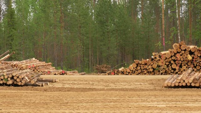 A car transporting felled timber