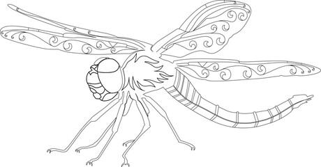 animation and illustration of a dragonfly as a design model using lines. art that can be combined with various ideas