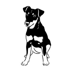 German Jagdterrier dog, vector sketch . Hand drawn ink realistic sketching isolated on white.