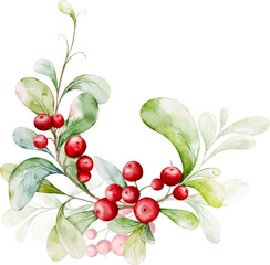 Watercolor arrangements of berries and leaves branches