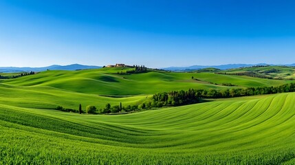 Expansive verdant agricultural fields under a clear azure sky