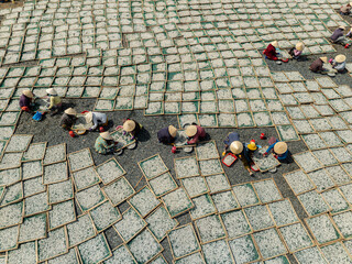 Drying anchovies after processing by fishermen in Binh Thuan, Vietnam. This is completely manual...