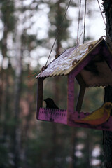 A bright birdhouse with the image of a bird hangs on a tree in the forest