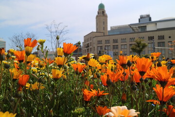 花畑とクイーンの塔