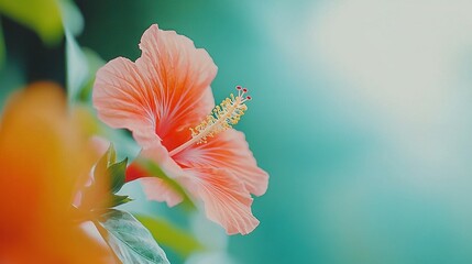   Close-up of a pink flower on a green and blue background with a blurred sky in the distance