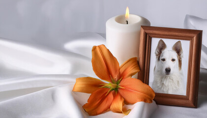 Pet funeral. Frame with picture of dog, burning candle and lily flower on white silk cloth, close-up.