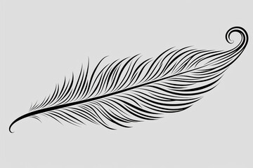 Obraz premium Bold line drawing of a phoenix feather, symbol of rebirth and fortune, black lines on white background, suitable for coloring