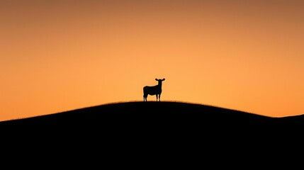 Pipeline infrastructure spanning a vast landscape, expansive open sky ideal for advertising opportunities, showcasing industrial development and potential.