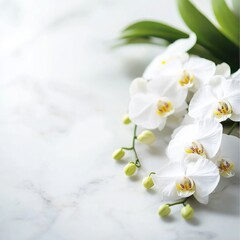 Fototapeta premium A stunning arrangement of white orchids on a marble surface, showcasing natural beauty and elegance in floral design.