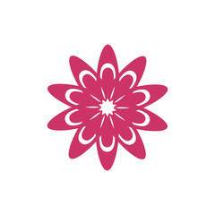 Flower logo vector design template. Star flower vector illustration. Beautiful mandala vector.