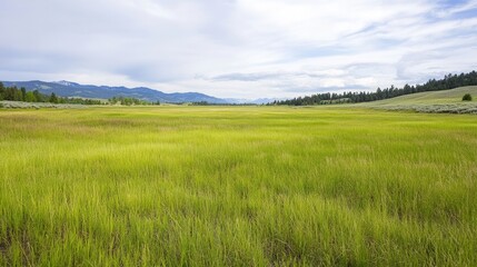 Obraz premium A serene landscape featuring a vast green field under a cloudy sky, surrounded by distant mountains and gently rolling hills.