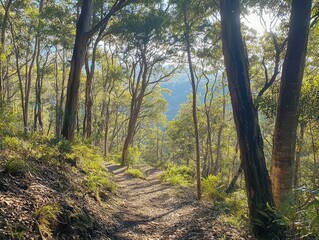 Fototapeta premium lush forest wilderness with tall trees, dappled sunlight filtering through the canopy, creating a serene and untouched landscape that invites exploration and tranquility