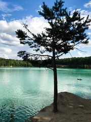 Serene landscape with a lone tree by a turquoise lake