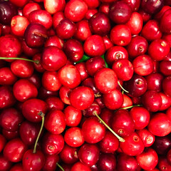 A vibrant display of fresh red cherries in abundance