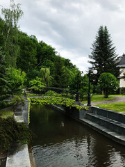 Fototapeta premium Tranquil garden with bridge over serene waterway