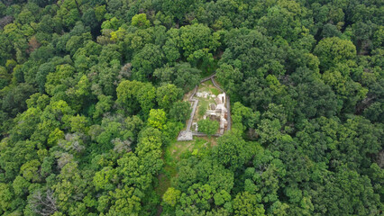 Fototapeta premium Aerial view showcases ancient ruins nestled within a dense forest canopy, blending history with the beauty of lush green vegetation. The overgrown woodland landscape surrounding the historical site.