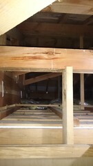 416)Japanese yellow hornet nest in the attic of a house in a densely populated area(Photo taken at 23:24 on august 31, 2015) vespa simillima xanthoptera