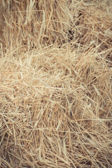 Bales of hay or straw. Background or wallpaper texture