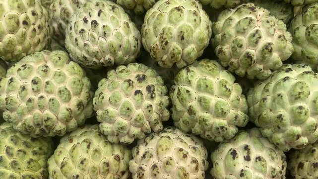 Fresh and organic Custard Apple in the fruit market. Video of fruit market concept.