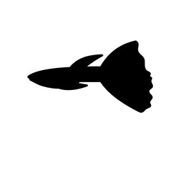 Obraz premium aquarium fish