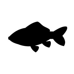 aquarium fish