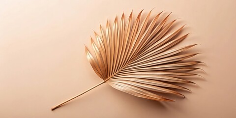 A single dried palm frond with a golden hue rests gracefully on a delicate beige background.