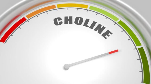 Choline essential nutrient level on measure scale. Instrument scale with arrow. 3D render