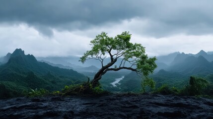 Obraz premium A solitary tree stands against a dramatic mountain landscape.
