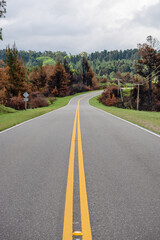 An empty road winds through a beautiful autumn landscape with vibrant orange, red, and yellow trees, and green hills under a cloudy sky, conveying peacefulness and journey.