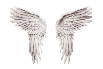 Fototapeta premium Pair of detailed, realistic angel wings spread wide, showcasing intricate feather textures, isolated on white background