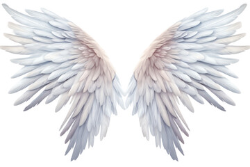 Fototapeta premium Graceful angel wings with a layered feather design, captured in a realistic style, isolated on white background
