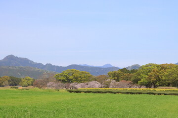 青空と春の風景