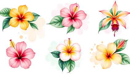 Fototapeta premium A collection of watercolor tropical flowers, including hibiscus, plumeria, and orchids, with lush green leaves and splashes of vibrant color.