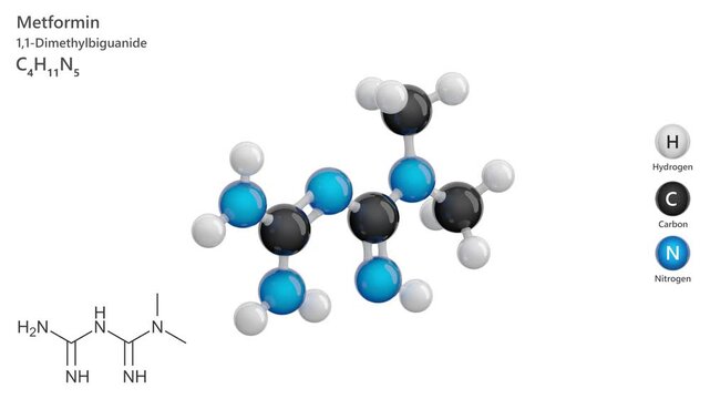 Metformin. Antidiabetic medication. Animated 3D model of a molecule. Molecular formula: C4H11N5. Chemical model: Ball and sticks. White background. 3D rendering. Seamless loop.