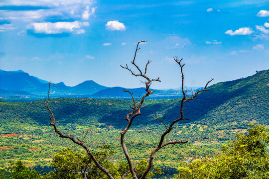Beautiful landscape with mountains and blue sky. Yercaud hill station, Tamil Nadu, India