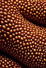 Naklejka premium stunning macro showcasing vibrant skin textures diverse skin tones captured close detail, beauty, portrait, color, natural, smooth, surface, pattern