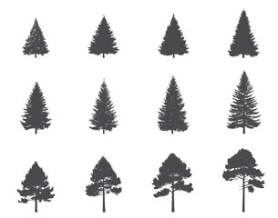 Obraz premium Set of spruce and pine tree silhouettes. Nature, Christmas and New Year design elements. Conifer isolated vector images in simple style