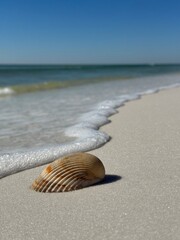 Selective focus of seashell on the beach
