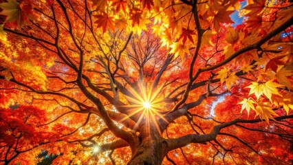 A vibrant canopy of fall foliage, illuminated by the sun's golden rays, creates a breathtaking view from beneath the branches of a majestic tree.