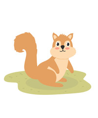 Squirrel illustration, cute Squirrel cartoon 